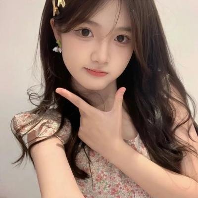 一个妨碍了希特勒的人